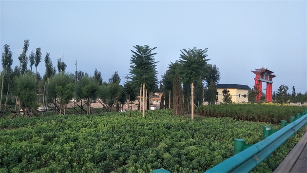 標題：張家口經開區(qū)腰站堡飲用水源地生態(tài)涵養(yǎng)綠化
瀏覽次數：2852
發(fā)表時間：2020-10-16