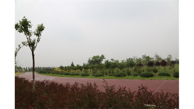 標(biāo)題：大青山南坡生態(tài)修復(fù)
瀏覽次數(shù)：2333
發(fā)表時間：2020-10-16