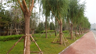 標(biāo)題：通遼市勝利北路道路景觀綠化
瀏覽次數(shù)：1790
發(fā)表時間：2020-10-16