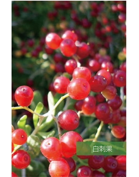 標(biāo)題：名貴樹種
瀏覽次數(shù)：1667
發(fā)表時(shí)間：2020-10-17