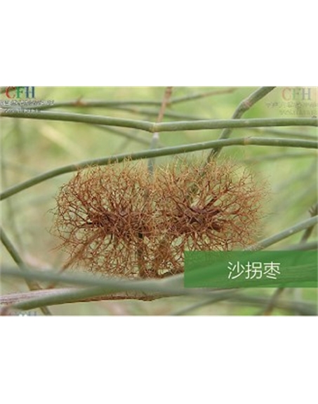 標題：名貴樹種
瀏覽次數(shù)：1669
發(fā)表時間：2020-10-17