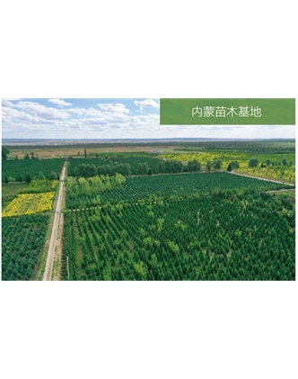 標題：苗木基地
瀏覽次數：2222
發(fā)表時間：2020-10-17