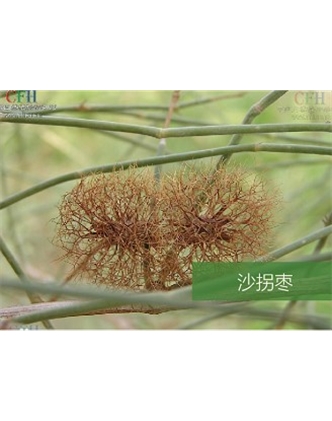 標(biāo)題：名貴樹(shù)種
瀏覽次數(shù)：1787
發(fā)表時(shí)間：2020-10-17