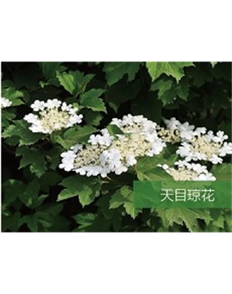 標(biāo)題：?jiǎn)坦嗄?瀏覽次數(shù)：1769
發(fā)表時(shí)間：2020-10-17
