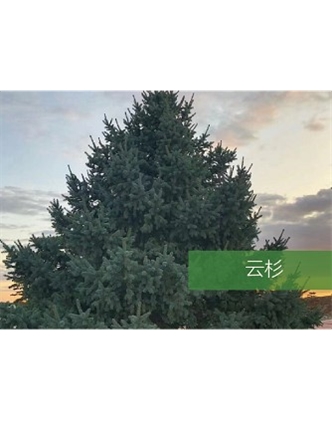 標(biāo)題：?jiǎn)坦嗄?瀏覽次數(shù)：2409
發(fā)表時(shí)間：2020-10-17