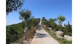 標題：張家口太子山山體修復
瀏覽次數(shù)：18765
發(fā)表時間：2020-11-12