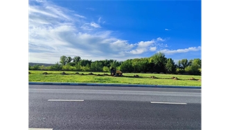 標題：伊利現(xiàn)代智慧健康谷道路綠化建設(shè)項目
瀏覽次數(shù)：1927
發(fā)表時間：2023-11-07